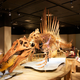 Imagen para el artículo titulado 10 mitos sobre los dinosaurios que son completamente falsos